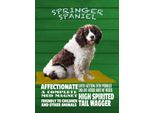 Vianmo Insegna In Legno 40X30 Cm Springer Spaniel Hund Friendly