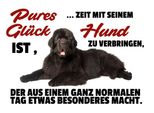 Vianmo Insegna In Legno 30X40 Cm Pures GlüCk Ist Zeit Mit Hund