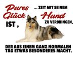Vianmo Insegna In Legno 30X40 Cm Pures GlüCk Zeit Mit Seinem Hund