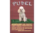 Vianmo Insegna In Legno 40X30 Cm Pudel Hochintelligent Lieb Hund