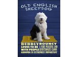 Vianmo Insegna In Legno 40X30 Cm Old English Sheepdog Hund Bubbly