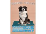 Vianmo Insegna In Legno 40X30 Cm Border Collie Hund Protective