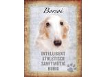 Vianmo Insegna In Legno 40X30 Cm Borsoi Hund Athletisch
