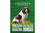 Vianmo Insegna In Legno 40X30 Cm Springer Spaniel Hund ZäRtlich