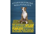Vianmo Insegna In Legno 40X30 Cm Staffordshire Bullterrier Hund