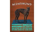 Vianmo Insegna In Legno 40X30 Cm Windhund Hund Intelligent Sanft