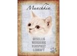 Vianmo Insegna In Legno 40X30 Cm Munchkin Katze Lebhaft