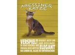 Vianmo Insegna In Legno 40X30 Cm Abyssinian Katze Verspielt