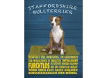 Vianmo Insegna In Legno 40X30 Cm Staffordshire Bullterrier Hund