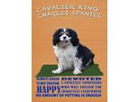Vianmo Insegna In Legno 40X30 Cm Cavalier King Charles Spaniel