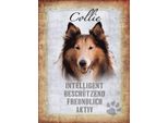 Vianmo Insegna In Legno 40X30 Cm Collie Hund Freundlich