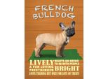 Vianmo Insegna In Legno 40X30 Cm French Bulldog Hund Lively