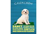 Vianmo Insegna In Legno 40X30 Cm Cavachon Hund Sanft ZäRtlich