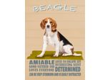 Vianmo Insegna In Legno 40X30 Cm Beagle Hund Loves To Follow Any