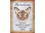 Vianmo Insegna In Legno 40X30 Cm Burmakatze Katze