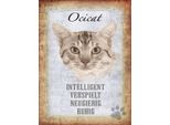 Vianmo Insegna In Legno 40X30 Cm Ocicat Katze Verspielt