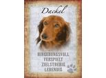 Vianmo Insegna In Legno 40X30 Cm Dackel Hund Lebendig