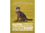 Vianmo Insegna In Legno 40X30 Cm Abyssinian Katze Playful Elegant