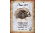 Vianmo Insegna In Legno 40X30 Cm Pekinese Hund