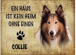 Vianmo Insegna In Legno 30X40 Cm Collie Hund