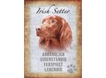 Vianmo Insegna In Legno 40X30 Cm Irish Setter Hund