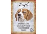Vianmo Insegna In Legno 40X30 Cm Beagle Hund