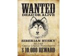 Vianmo Insegna In Legno 40X30 Cm Hund Wanted Siberian Husky