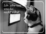 Vianmo Insegna In Legno 30X40 Cm Katze Ich Sehe Was Du Nicht Siehst
