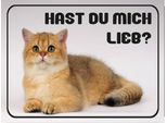 Vianmo Insegna In Legno 30X40 Cm Katze Hast Du Mich Lieb?