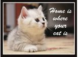 Vianmo Insegna In Legno 30X40 Cm Katze Home Is Where Your Cat