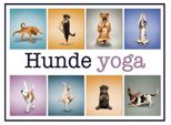 Vianmo Insegna In Legno 30X40 Cm Katze Hunde Yoga