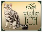 Vianmo Insegna In Legno 30X40 Cm Katze American Shorthair Hier Wache