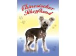 Vianmo Insegna In Legno 40X30 Cm Hund Chinesischer Schopfhund