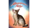 Vianmo Insegna In Legno 40X30 Cm Katze Abessinier Katze