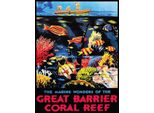 Vianmo Insegna In Legno 40X30 Cm Creat Barrier Coral Reef