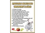 Vianmo Insegna In Legno 40X30 Cm English Bulldog Property Laws