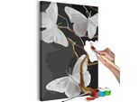 Tessuto Non Tessuto Painting By Numbers - Farfalle Su Un Ramoscello 40X60 Cm Animali N-A-1450-E-A