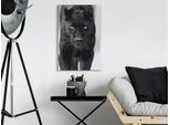 Pittura In Tessuto Non Tessuto Con Numeri - Black Panther 40X60 Cm Animali N-A-1481-E-A