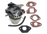 Carburatore Per Rasaerba Honda HRB216 HRR216 HRS216 HRT216 HRZ216 HRG415
