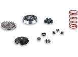 Variatore Malossi Multivar Mhr Per Trasmissione Over Range 6112811 - 6112812