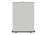 Walimex Pro Roll-Up Panel Background Grigio 165 X 220 Cm, Sfondo Fotografico Con Scatola Di Trasporto, Sistema Di Sfondo Per Studio Fotografico, Tela Fotografica Senza Pieghe Ideale Per Ritratti E Accenti Di Luce Discreti