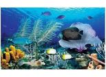80X40 Cm Pittura A Diamante Fai Da Te Pittura A Diamante Oceanarium