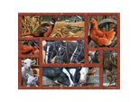 Cobble Hill Puzzle Amici Della Fattoria Xl 275 Pezzi