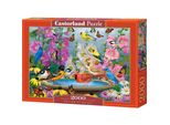 Castorland Puzzle Ritmo Della Natura 2000 Pezzi