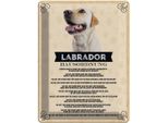 Vianmo Insegna Di Latta 40X30 Cm Tiere Labrador Hausordnung Hunde