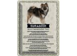 Vianmo Insegna Di Latta 40X30 Cm Tiere Eurasier Hausordnung Hunde