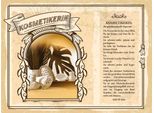 Vianmo Insegna In Legno 30X40 Cm Kosmetikerin Expertin ÄSthetik