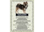 Vianmo Insegna In Legno 40X30 Cm Tiere Eurasier Hausordnung Hunde