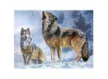Norimpex Diamant Malerei Wolf Call 30X40Cm