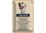 Vianmo Insegna Di Latta 30X20 Cm Tiere Labrador Hausordnung Hunde